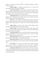 Užsienio investicijų Lietuvoje analizė 10 puslapis