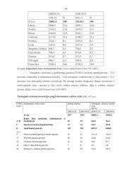 Užsienio investicijų Lietuvoje analizė 13 puslapis