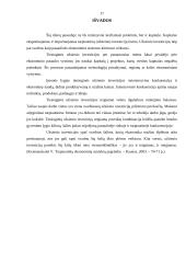 Užsienio investicijų Lietuvoje analizė 16 puslapis