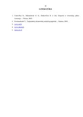 Užsienio investicijų Lietuvoje analizė 17 puslapis