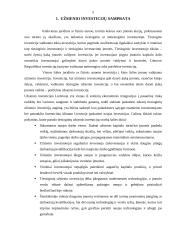 Užsienio investicijų Lietuvoje analizė 4 puslapis