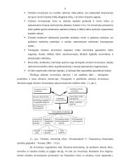 Užsienio investicijų Lietuvoje analizė 5 puslapis