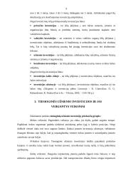 Užsienio investicijų Lietuvoje analizė 8 puslapis