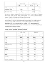 Užsienio investicijos ir investicijų formos Lietuvoje 11 puslapis