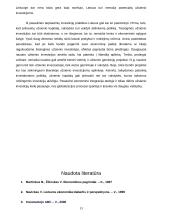 Užsienio investicijos ir investicijų formos Lietuvoje 13 puslapis