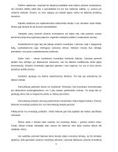 Užsienio investicijos ir investicijų formos Lietuvoje 6 puslapis