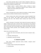 Užsienio investicijos ir investicijų formos Lietuvoje 8 puslapis