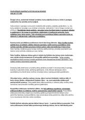 Paveldėjimo samprata ir evoliucija Romoje