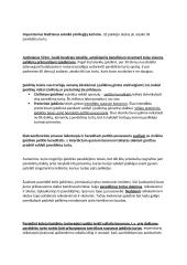 Paveldėjimo samprata ir evoliucija Romoje 17 puslapis