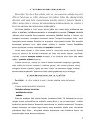 Užsienio investicijų skatinimas Lietuvoje 2 puslapis