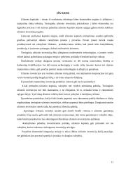 Užsienio investicijų skatinimas Lietuvoje 11 puslapis