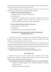 Užsienio investicijų skatinimas Lietuvoje 6 puslapis