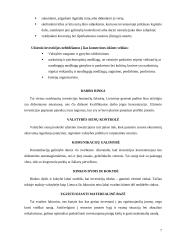 Užsienio investicijų skatinimas Lietuvoje 7 puslapis