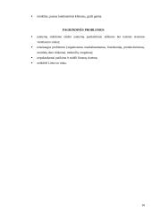 Užsienio investicijų skatinimas Lietuvoje 10 puslapis