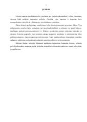 Užsienio prekybos kontraktai 2 puslapis