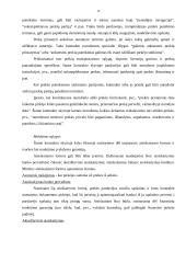 Užsienio prekybos kontraktai 13 puslapis