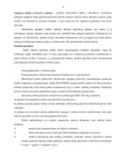 Užsienio prekybos kontraktai 15 puslapis