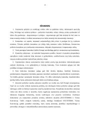 Užsienio prekybos kontraktai 19 puslapis