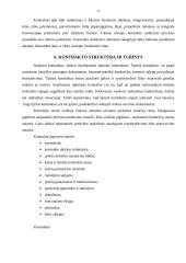 Užsienio prekybos kontraktai 10 puslapis