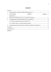 Užsienio prekybos Lietuvoje dinamika ir struktūra 2 puslapis