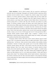 Užsienio prekybos Lietuvoje dinamika ir struktūra 3 puslapis