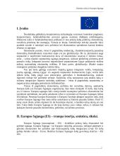 Užsienio ryšiai ir Europos Sąjunga (ES) 2 puslapis