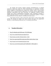 Užsienio ryšiai ir Europos Sąjunga (ES) 13 puslapis