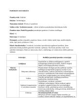 Technologijų pamokos scenarijus 4 klasei