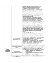 Technologijų pamokos scenarijus 4 klasei 2 puslapis