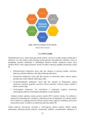 Informacinių technologijų taikymo mokinių ilgalaikės individualios pažangos stebėjimo aspektu 20 puslapis