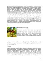 Vabzdžiai ir jų įvairovė 15 puslapis