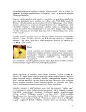 Vabzdžiai ir jų įvairovė 16 puslapis