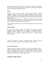 Vabzdžiai ir jų įvairovė 17 puslapis