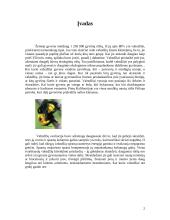 Vabzdžiai ir jų įvairovė 3 puslapis