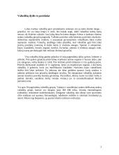 Vabzdžiai ir jų įvairovė 4 puslapis