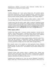 Vabzdžiai ir jų įvairovė 9 puslapis