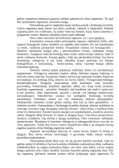 Vabzdžiai-parazitai 2 puslapis