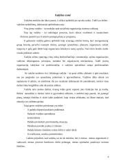 Vadybininko profesija 4 puslapis