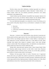 Vadybininko profesija 8 puslapis