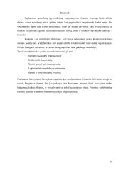 Vadybininko profesija 10 puslapis