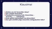 Bronchitas. Skaidrės 5 puslapis