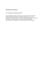 Virškinimo sistemos konspektas