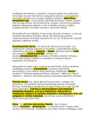 Virškinimo sistemos konspektas 4 puslapis