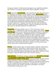 Virškinimo sistemos konspektas 6 puslapis