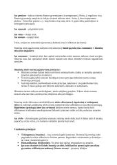 Romėnų privatinė Teisė. Konspektas 2 puslapis