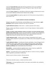 Romėnų privatinė Teisė. Konspektas 11 puslapis