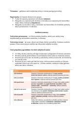 Romėnų privatinė Teisė. Konspektas 12 puslapis