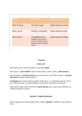 Romėnų privatinė Teisė. Konspektas 13 puslapis