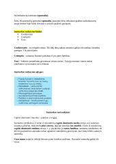 Romėnų privatinė Teisė. Konspektas 15 puslapis