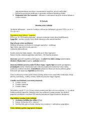 Romėnų privatinė Teisė. Konspektas 3 puslapis